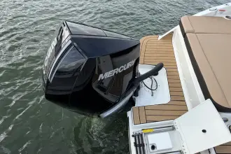 Thumbnail von Sea Ray SDX 250 Außenborder