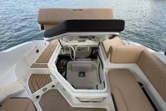 Thumbnail von Sea Ray SDX 250 Außenborder