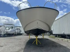 Thumbnail von Boston Whaler 210 Montauk