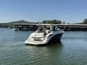 Thumbnail von Sea Ray 320 Sundancer