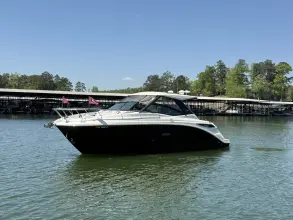 Thumbnail von Sea Ray 320 Sundancer