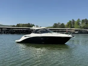 Thumbnail von Sea Ray 320 Sundancer