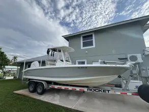 Boston Whaler 250 Dauntless