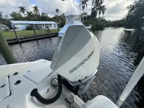 Thumbnail von Boston Whaler 250 Dauntless