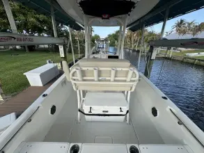 Thumbnail von Boston Whaler 250 Dauntless