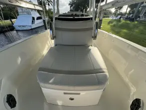 Thumbnail von Boston Whaler 250 Dauntless