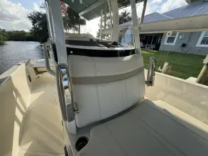 Thumbnail von Boston Whaler 250 Dauntless