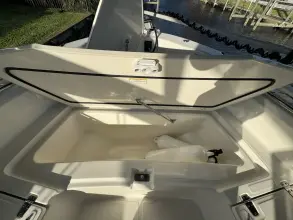 Thumbnail von Boston Whaler 250 Dauntless