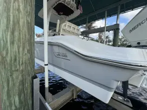 Thumbnail von Boston Whaler 250 Dauntless