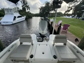 Thumbnail von Boston Whaler 250 Dauntless