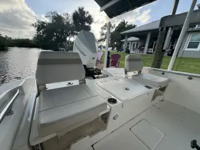 Thumbnail von Boston Whaler 250 Dauntless