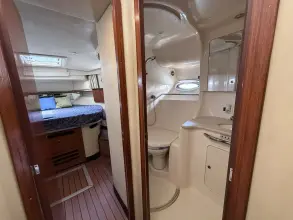 Thumbnail von Sea Ray 450 Express Bridge
