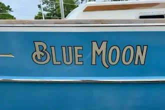 Thumbnail von Gozzard 41 Blue Moon