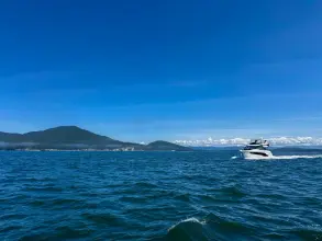 Thumbnail von Cruisers Yachts 50 FLY