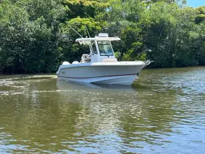 Thumbnail von Boston Whaler 250 Outrage