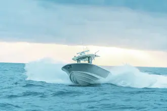 Thumbnail von Boston Whaler 330 Outrage