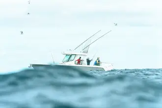 Thumbnail von Boston Whaler 330 Outrage