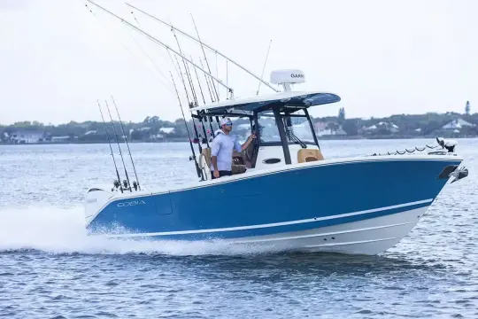 Cobia 	265 Open