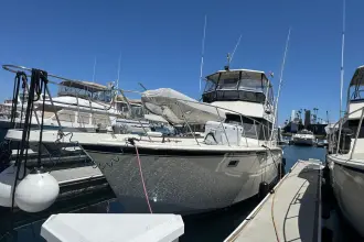 Thumbnail von Hatteras 45 Convertible The Hookey