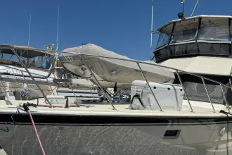 Thumbnail von Hatteras 45 Convertible The Hookey