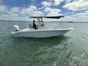 Boston Whaler 250 Dauntless