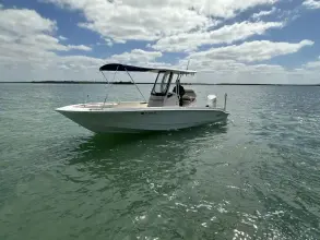 Thumbnail von Boston Whaler 250 Dauntless