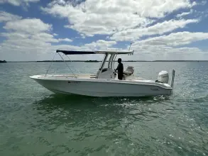 Thumbnail von Boston Whaler 250 Dauntless