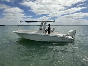 Thumbnail von Boston Whaler 250 Dauntless