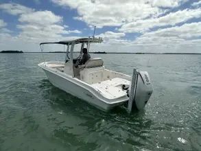 Thumbnail von Boston Whaler 250 Dauntless
