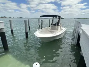 Thumbnail von Boston Whaler 250 Dauntless
