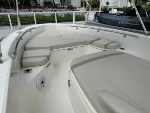 Thumbnail von Boston Whaler 250 Dauntless
