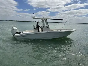 Thumbnail von Boston Whaler 250 Dauntless