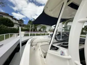Thumbnail von Boston Whaler 250 Dauntless