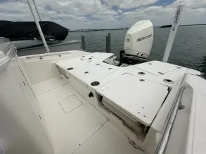 Thumbnail von Boston Whaler 250 Dauntless