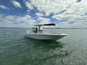 Thumbnail von Boston Whaler 250 Dauntless