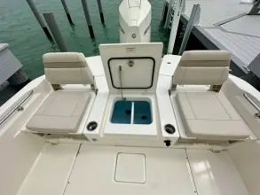 Thumbnail von Boston Whaler 250 Dauntless