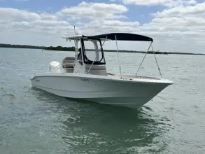 Thumbnail von Boston Whaler 250 Dauntless