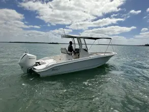 Thumbnail von Boston Whaler 250 Dauntless