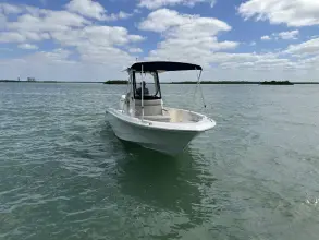 Thumbnail von Boston Whaler 250 Dauntless