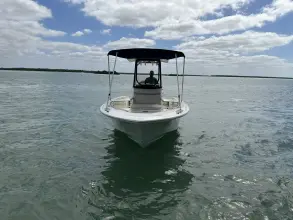 Thumbnail von Boston Whaler 250 Dauntless