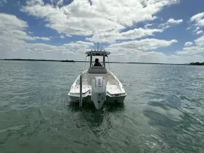 Thumbnail von Boston Whaler 250 Dauntless
