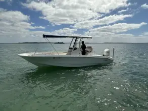 Thumbnail von Boston Whaler 250 Dauntless