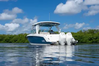 Thumbnail von Boston Whaler 320 Vantage