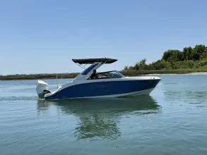 Sea Ray SDX 230 Outboard