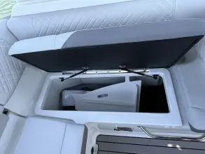 Thumbnail von Sea Ray SDX 230 Outboard