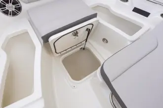 Thumbnail von Sea Ray SDX 250 Outboard