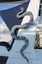 Thumbnail von Beneteau Oceanis 41 RETOX