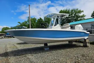 Thumbnail von Boston Whaler 250 Dauntless