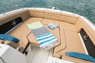 Thumbnail von Sea Ray SDX 290 Außenborder