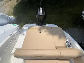 Thumbnail von Sea Ray SDX 250 Außenborder